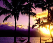 «Ночь в Гавайях»