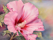 «Акварельные зарисовки»