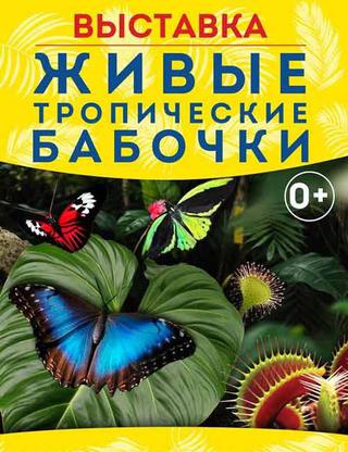 Выставка живых тропических бабочек