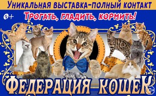 Федерация кошек