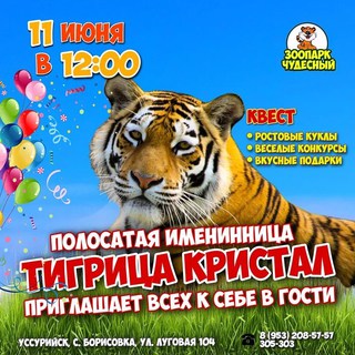 День рождения тигрицы Кристал