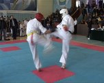 Kiokusinkay_karate_do