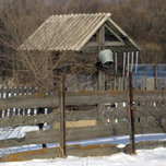 Разработка программы по устойчивому развитию сельских территорий начата в Уссурийском городском округе