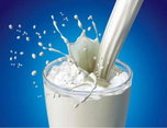 Опасные бактерии обнаружены в молочной продукции в Уссурийске