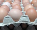 В Приморье стало на треть больше яиц