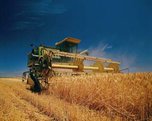 Уборка зерновых культур началась в Уссурийске