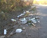 Откуда берется мусор вдоль дорог?