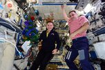 Поздравление с Новым годом передала с космической орбиты уроженка Уссурийска