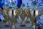 Собачья упряжка из догов выиграла соревнования по ездовому спорту в пригороде Уссурийска