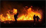 В Приморье действующих лесных пожаров нет