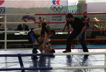 Чемпионат и первенство по смешанному боевому единоборству ММА провели в Уссурийске