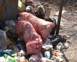 Кто должен следить за чистотой мусорной площадки?