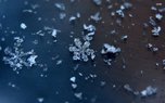 Синоптики обещают в Уссурийске снег на праздники