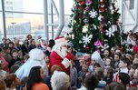 Главную новогоднюю елку Приморья посетят более 1200 детей