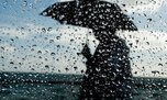 Завтра очередной циклон принесет дожди в Приморье