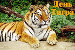 День тигра впервые широко отметят в Уссурийске