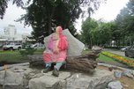 Памятник егерю откроют в Уссурийске на День тигра