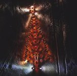 В Уссурийске зажгли новогоднюю ёлку из автомобилей