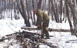 Акция «Чистый лес» стартовала в Уссурийском городском округе