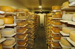 Почти 120 тонн сыра изготовили уссурийские сыровары в 2017 году