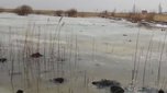 В окрестностях Уссурийска образовалось озеро из канализационных вод