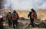 Лесной пожар ликвидировали в Уссурийске