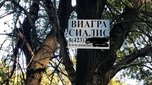 Лечить мужскую эрекцию в Уссурийске предлагают прямо на деревьях