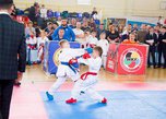 Соревнования по каратэ WKF прошли в Уссурийске