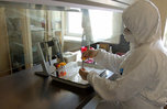 Роспотребнадзор: Новых случаев заболевания коронавирусом в Приморье не выявлено