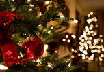 Жительница Уссурийска лишилась денежных средств, купив новогоднюю елку в социальных сетях
