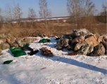 Гниение и смрад: приморцы нашли мешки с телами на лесной дороге
