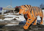 Тигр с центральной площади Уссурийска переехал к въезду в город