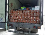 Почти 38 тысяч тонн овощей и фруктов оформили уссурийские таможенники с начала 2023 года