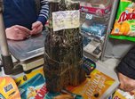 В Уссурийске сотрудники полиции привлекли к ответственности предпринимателя за продажу алкоголя без лицензии