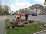 Уссурийск в цвету: началось оформление городских клумб