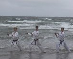 Karate_more