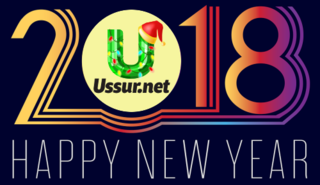 Новый 2018 год в Уссурийске!