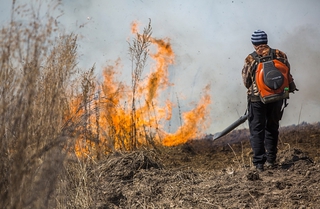 Особый противопожарный режим введен в Уссурийске