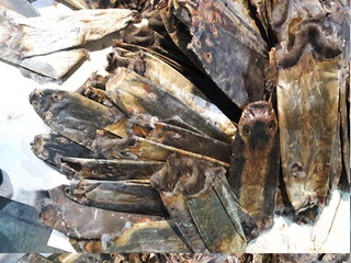 Незаконный вывоз в Китай более 12 тонн шкур ондатры пресекли уссурийские таможенники