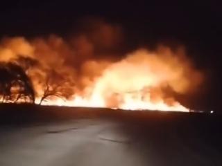 В Приморье сфотографировали огромный лесной пожар под Уссурийском