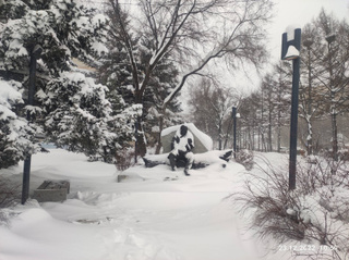 В Уссурийске из-за сильного снегопада усилили меры повышенной готовности