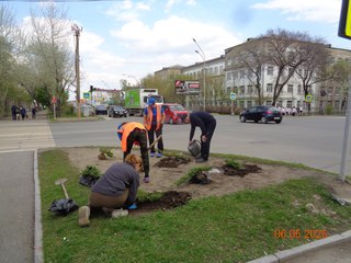 Уссурийск в цвету: началось оформление городских клумб