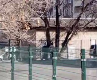 Полиция Приморья возбудила уголовное дело по факту хулиганства на Владивостокском шоссе в Уссурийске