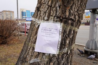 Городские парки и скверы Уссурийска обрабатывают от клещей