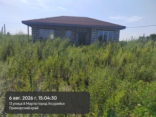 В Уссурийске составлено 59 протоколов за несвоевременный покос травы